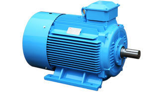 General purpose low voltage motors