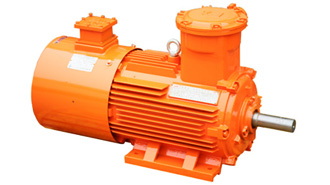 Explosion proof low voltage motors